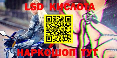 ПСИЛОЦИБИНОВЫЕ ГРИБЫ Коммунар